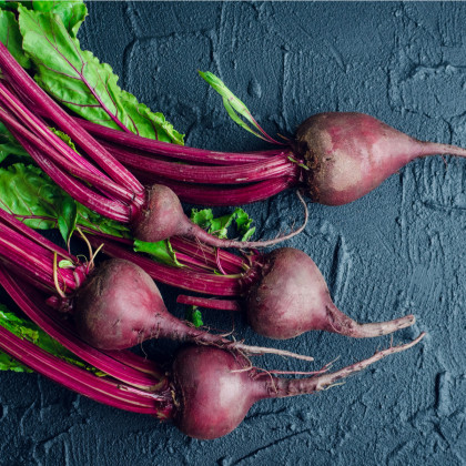 BIO Řepa Ägyptische Plattrunde - Beta vulgaris - bio semena řepy - 50 ks