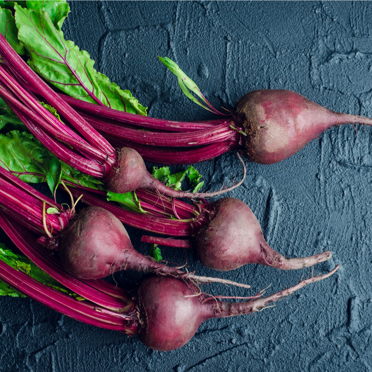 BIO Řepa Ägyptische Plattrunde - Beta vulgaris - bio semena řepy - 50 ks