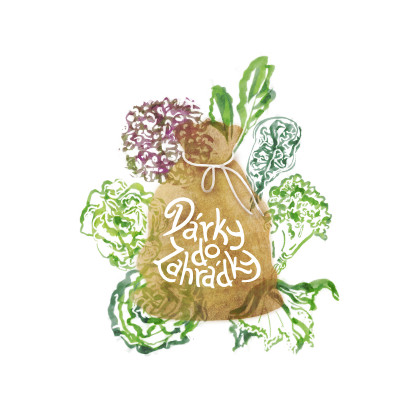 Dárkový balíček semen salátů - zdarma dárkové balení