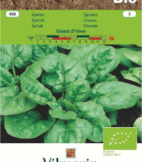 BIO Špenát Geant d'hiver- Spinacea oleracea - bio semena - 10 g