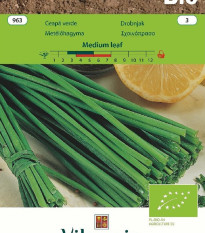 BIO Pažitka Medium leaf - Allium schoenoprasum L. - bio semena - 1 g