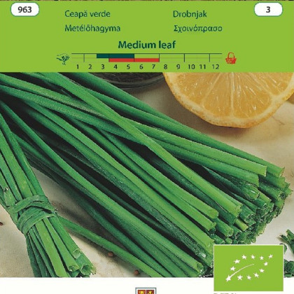 BIO Pažitka Medium leaf - Allium schoenoprasum L. - bio semena - 1 g