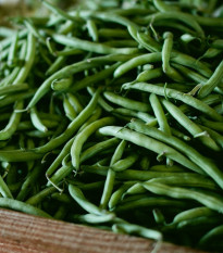 Fazol keříčkový Negra - Phaseolus vulgaris - semena fazolu - 10 ks