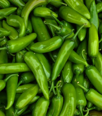 Chilli Velký Jim - Capsicum annuum - semena chilli - 7 ks