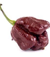 Chilli Trinidad Scorpion Moruga Chocolate - Capsicum chinense - semena chilli - 5 ks