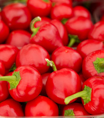Paprika rajčinová Ontara - Capsicum annuum - semena - 40 ks