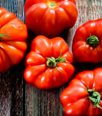 BIO Rajče Marmande - Solanum lycopersicum - bio semena rajčete - 15 ks