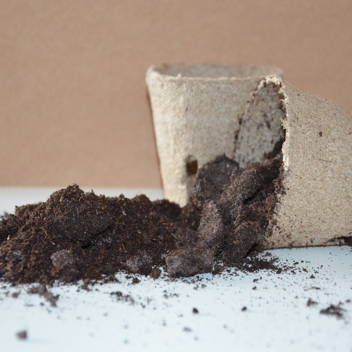 Substrát pro jehličnany - speciální substrát - 100 g