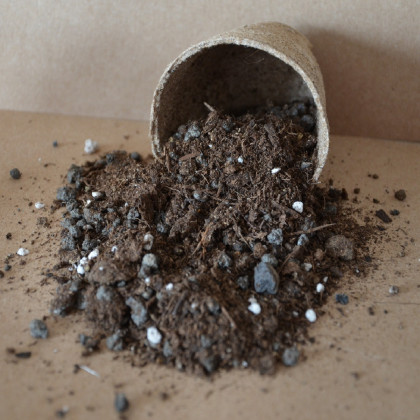 Substrát pro rostliny ze Středomoří - speciální substrát - 100 g