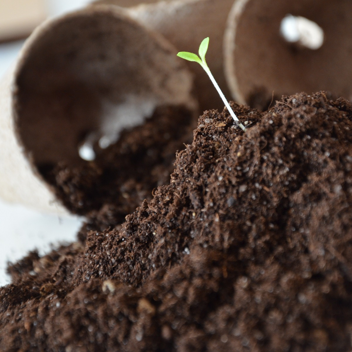 Substrát pro bylinky - speciální substrát - 200 g