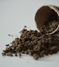 Geohumus - speciální substrát - 0,05 l