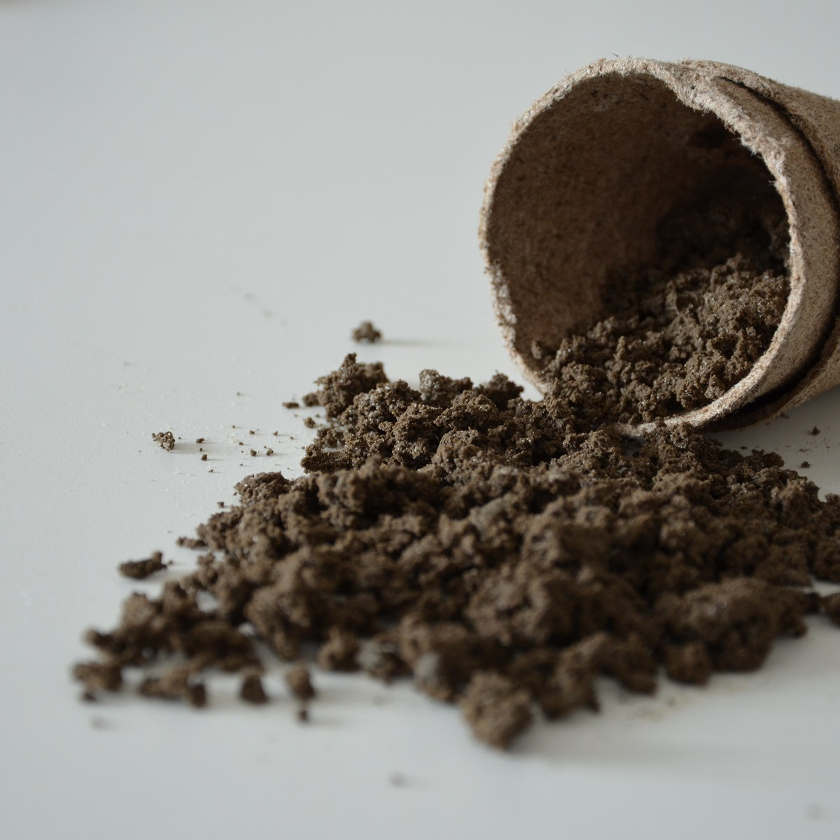 Geohumus - speciální substrát - 0,05 l