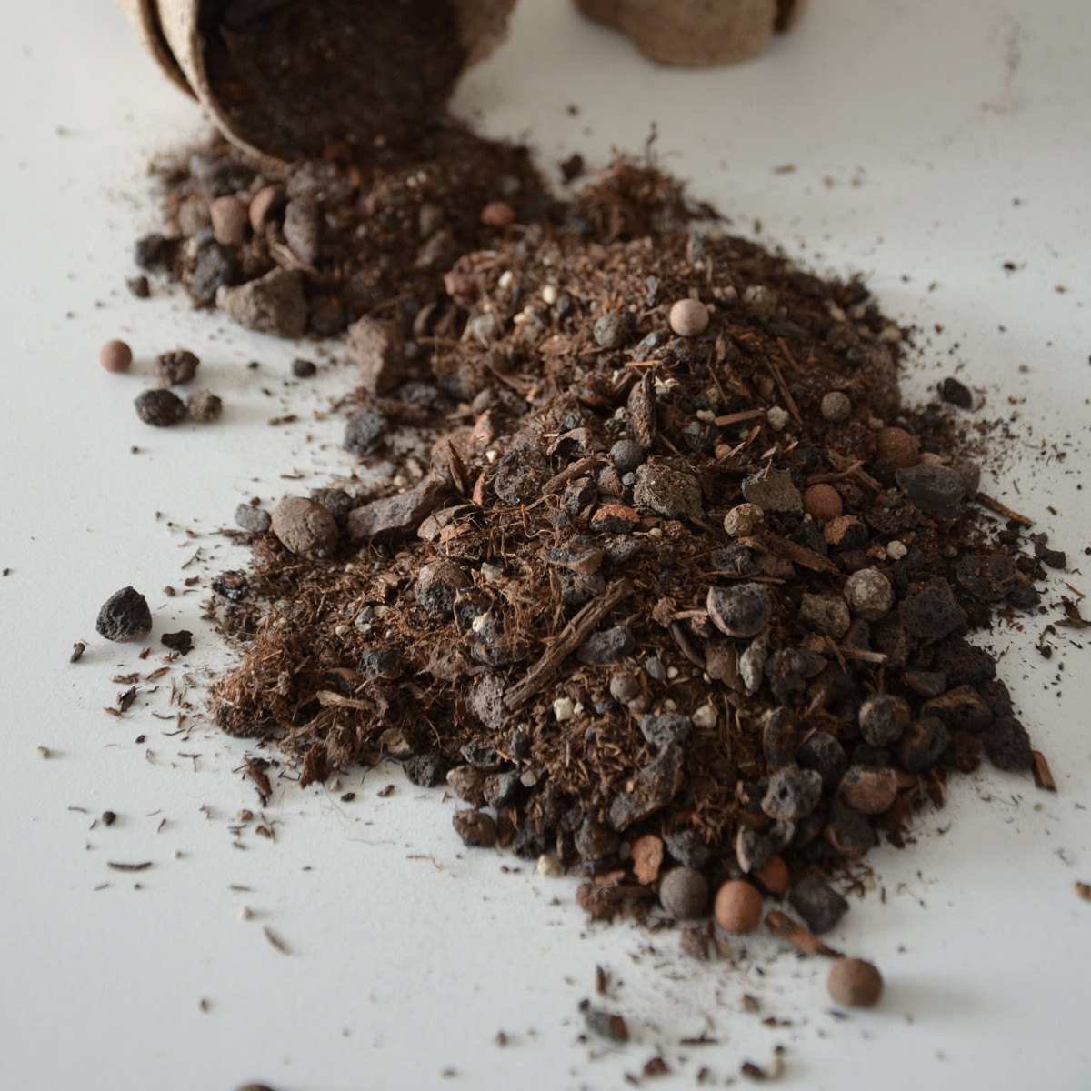 Substrát pro buxus - speciální substrát - 100 g