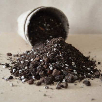 Substrát pro palmy - speciální substrát - 100 g