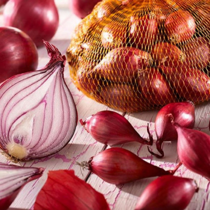 Cibule sazečka červená - Allium cepa - cibulky - 250 g