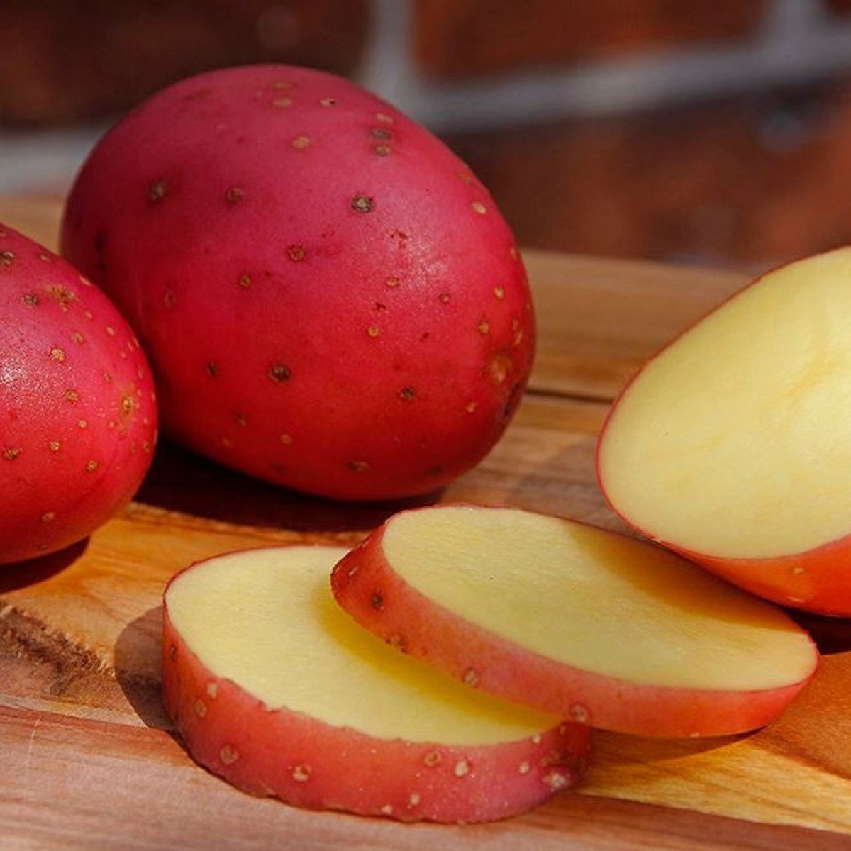 BIO Sadbové brambory Laura - Solanum tuberosum - bio brambory - 10 ks