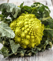 Kwiat kalafiora Veronica - Brassica oleracea L. convar. botrys - nasiona kalafiora - 10 szt.