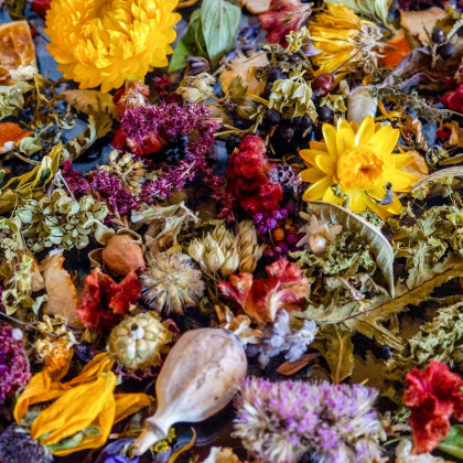 Letničky k sušení - semena letniček - směs letniček - 0,9 g