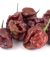 Chilli Trinidad Scorpion Moruga Caramel - Capsicum chinense - semena chilli - 5 ks