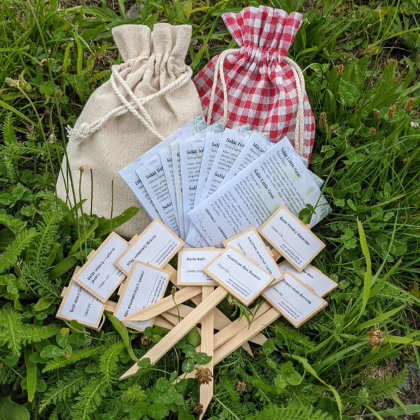 Dárkový balíček semen salátů - zdarma dárkové balení