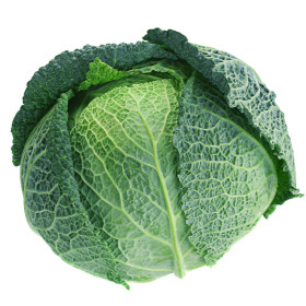 Kapusta