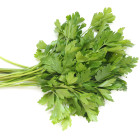 Natka pietruszki