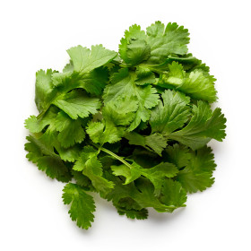 Kolendra