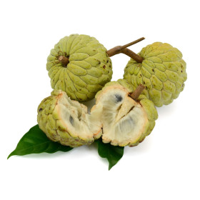 Anona - nasiona