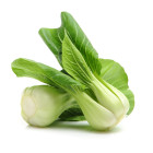 Kapusta Pak Choi