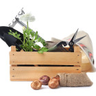 Obecnie na ten miesiąc