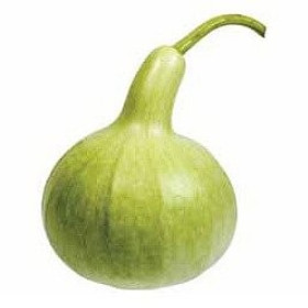 Lagenárie