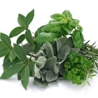 Aromatyczne przyprawy