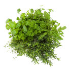 Inne aromatyczne przyprawy