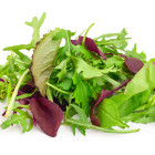 Ostatnie liściaste warzywa