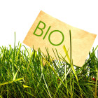 Produkty w jakości BIO