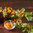 Egzotyczne rośliny lecznicze