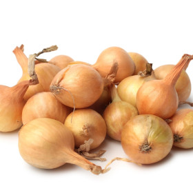 BIO Cebula