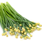 Inna ekologiczna cebulowa zielenina