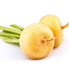 Inna BIO korzeniowa warzywa