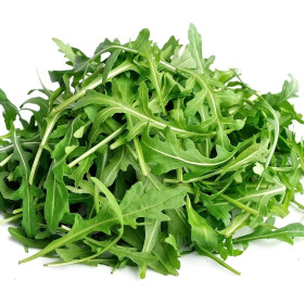 BIO Rukola/rokieta