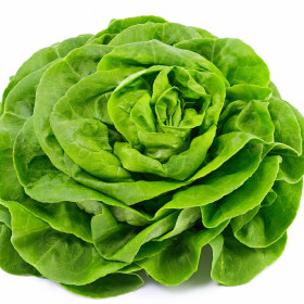 BIO Sałata