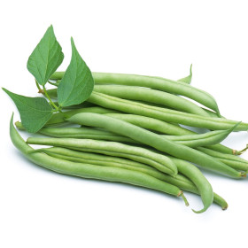 BIO Fasola
