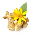 Topinambur - warzywo