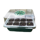 Miniszklarnie i inspekty