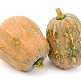 BIO Dynia