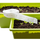 Taśmy siewne kwiatów