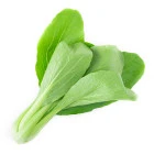 BIO asijskie warzywa