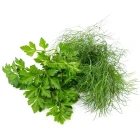 Taśmy s nasionami ziół