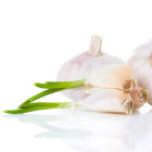 BIO sadzeniaki czosnku