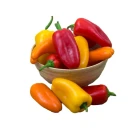 Papryki przekąskowe